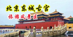 操小穴视频在线观看免费中国北京-东城古宫旅游风景区